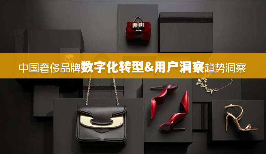中国奢侈品牌数字化转型与用户行为趋势洞察 | 商派整编