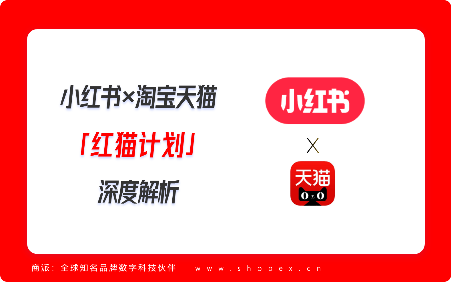 小红书×淘宝天猫「红猫计划」深度解析：内容电商融合重构商业生态